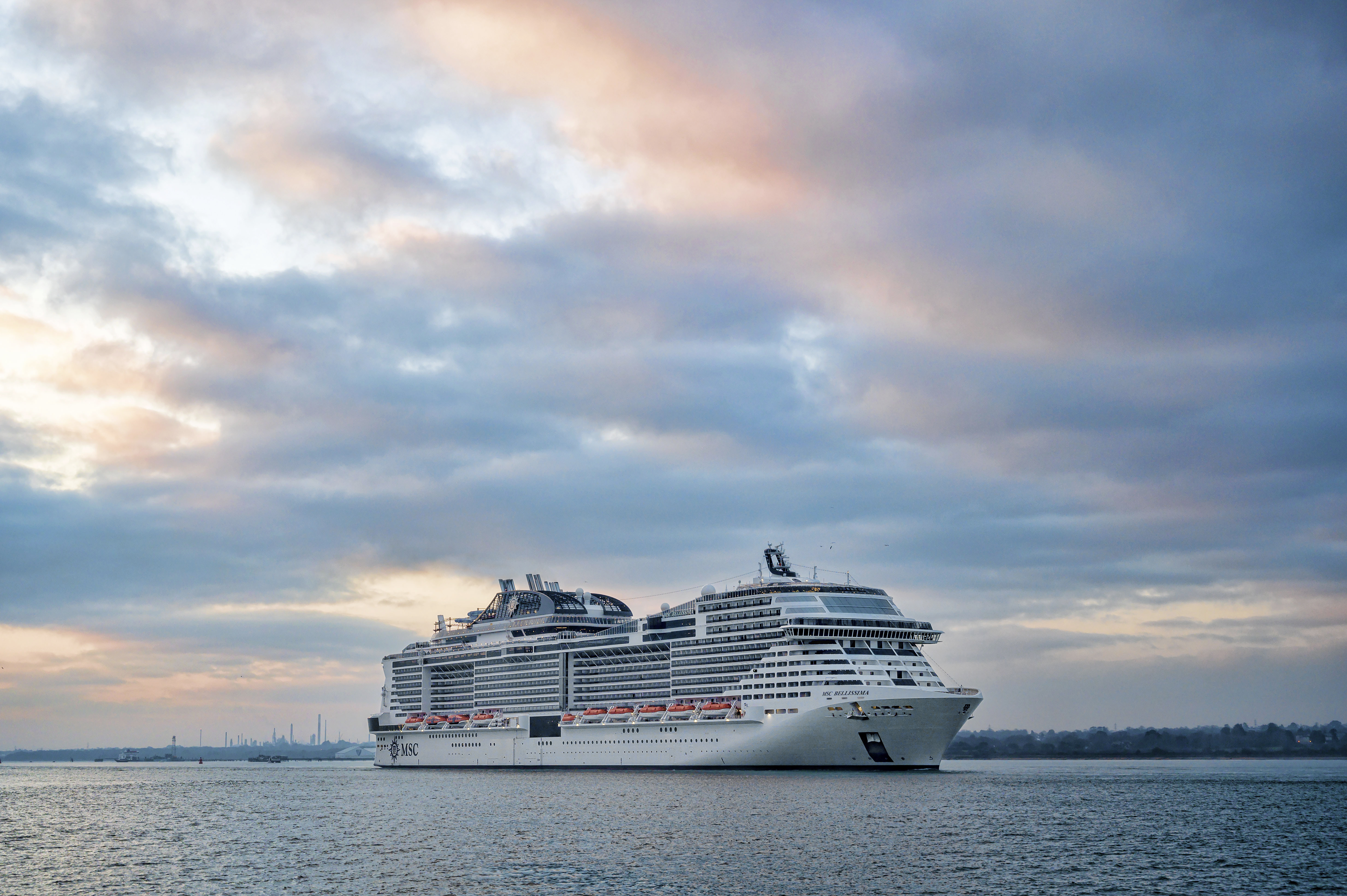 MSC Bellissima Image 4